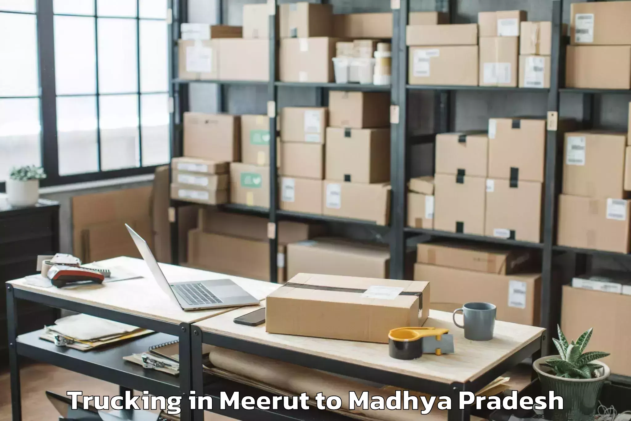 Easy Meerut to Machalpur Trucking Booking